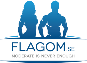Flagom logotyp1